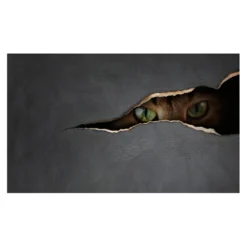 Fototapet Arkiio Kattens blick 450x270 cm