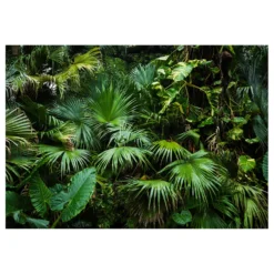 Fototapet Arkiio Sunny Jungle