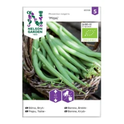 Frö Brytböna Nelson Garden Maxi Organic