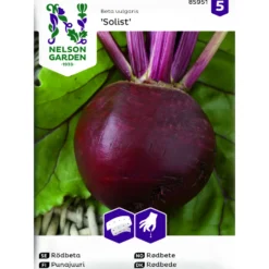 Frö Nelson Garden Rödbeta Solist Såband