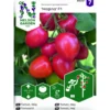 Frö Nelson Garden Tomat Hög Nagina F1
