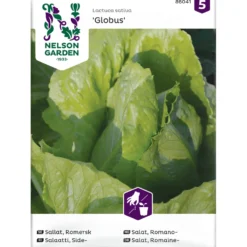 Frö Romersk Sallat Nelson Garden Globus