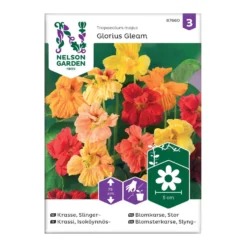 Frö Slingerkrasse Nelson Garden Glorius Gleam Mix