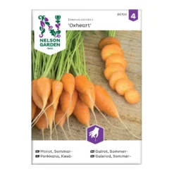 Frö Sommarmorot Nelson Garden Oxheart
