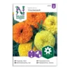 Frö Tagetes Nelson Garden Crackerjack stor