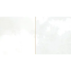 Kakel Tenfors Peronda FS Tradition Square White LT 20x40 cm