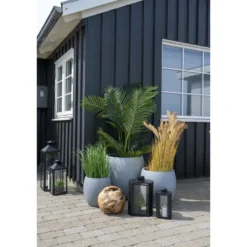 Konstväxt House Nordic Areca 175 cm