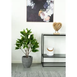 Konstväxt House Nordic Magnolia