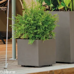 Kruka Deroma Millennium Sandstone Fyrkantig 39 x 39 x 39 cm