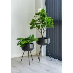 Kruka House Nordic Ardola Set om 2
