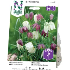 Kungsängslilja Nelson Garden Blandade Färger