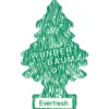 Luftfräschare Wunder-Baum Everfresh