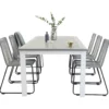 Matgrupp Venture Home Aleyna 224/324 med 6 Leon Stolar