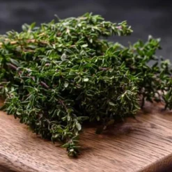 Odlingsmatta Turfquick Kål
