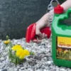 Ogräsbekämpning Neudorff Effekt Spray 3L för Trädgård