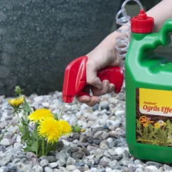 Ogräsbekämpning Neudorff Effekt Spray 3L för Trädgård