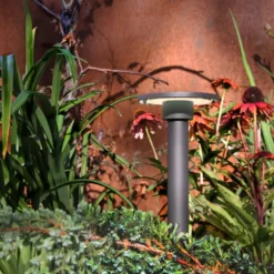 Pollare LightsOn Orbit