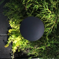 Pollare LightsOn Orbit