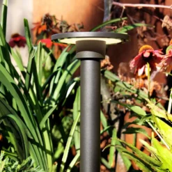 Pollare LightsOn Orbit