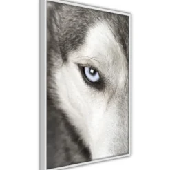 Poster Artgeist Affisch Dog's Look