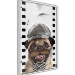 Poster Artgeist Affisch Pug In Hat