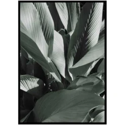Poster Gallerix Banana Leaves No4