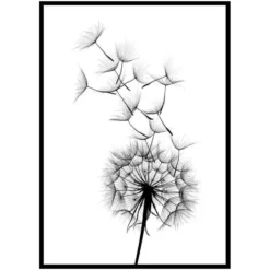 Poster Gallerix Dandelion Wish