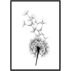 Poster Gallerix Dandelion Wish