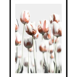 Poster Gallerix Dutch Tulips