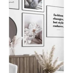 Poster Gallerix Flowering Star Magnolia