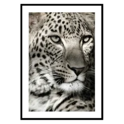 Poster Gallerix Leopard