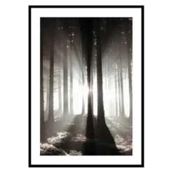 Poster Gallerix Misty Autumn Morning