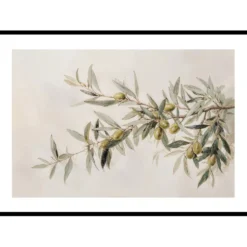 Poster Gallerix Olive Branch Aquarelle