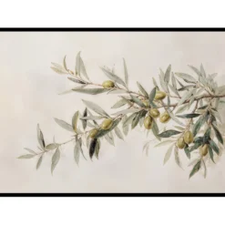 Poster Gallerix Olive Branch Aquarelle