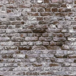 Tapet Living walls The Wall 38333-1