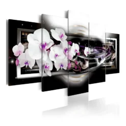 Tavla Arkiio Orchids On A Black Background