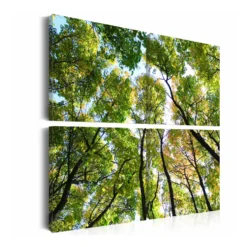 Tavla Arkiio Treetops