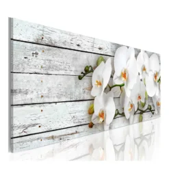 Tavla Arkiio White Dreams
