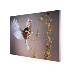 Tavla Art for the Home Bird 70x100