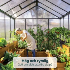 Växthus Canopia by Palram Glory 12,2 m² Mörkgrå